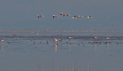 Kuruyan Marmara Gölü’ne son yağışlar umut oldu