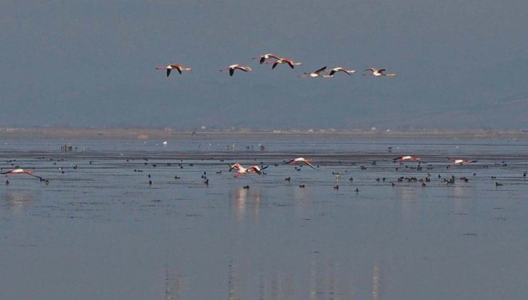 Kuruyan Marmara Gölü’ne son yağışlar umut oldu