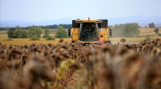 Türkiye’de çiftçi sayısı 2 milyon 177 bine düştü