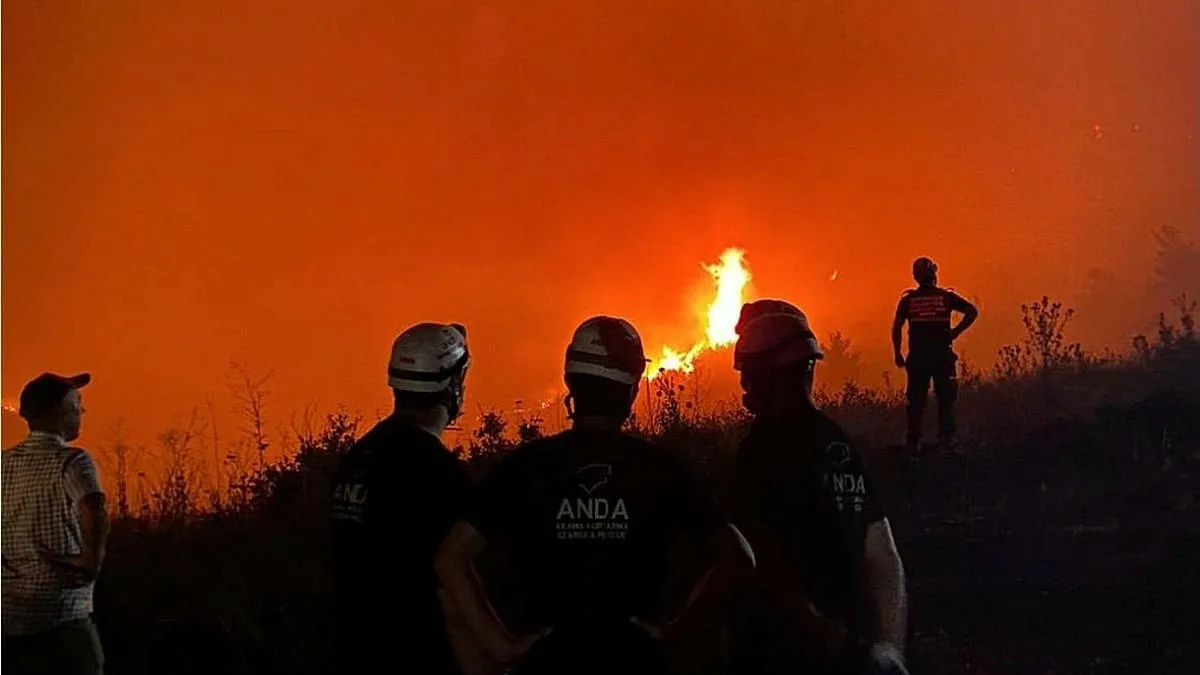 Afyonkarahisar Valisi açıkladı: Orman yangınında 1 gözaltı