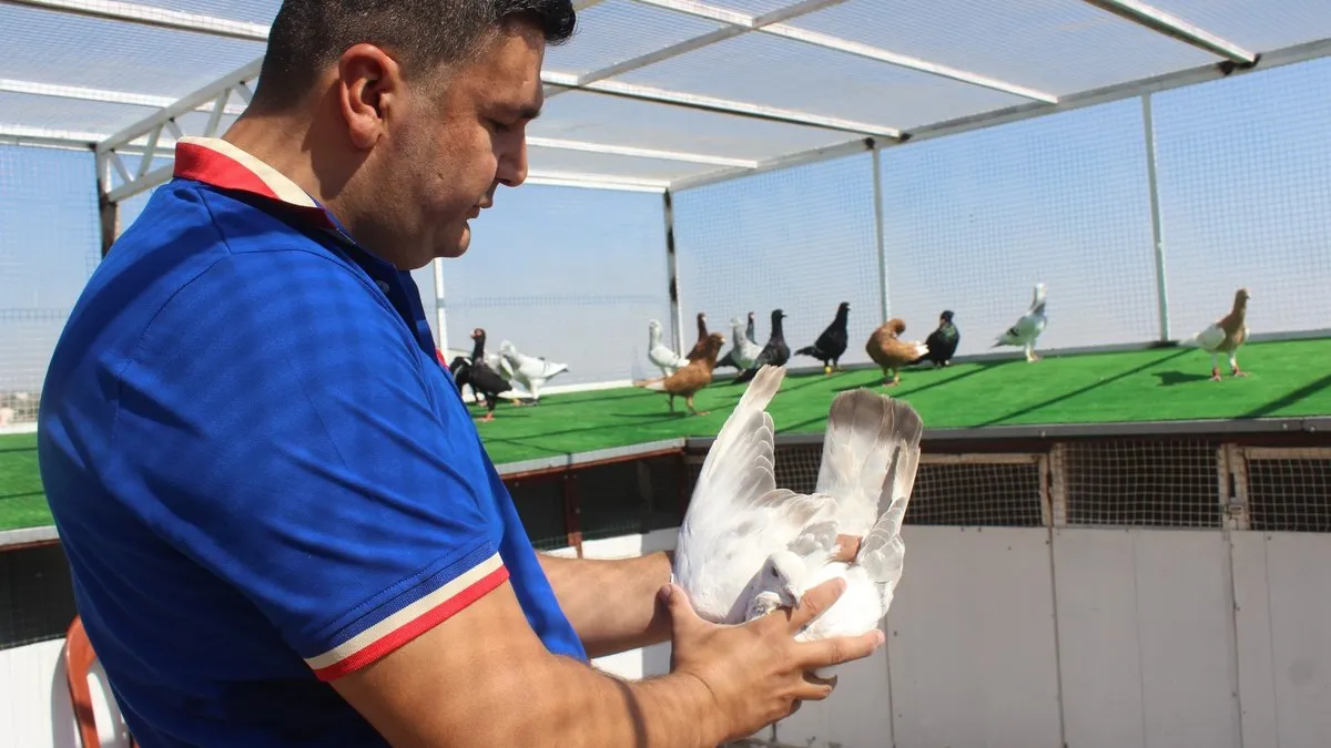 Otomobil fiyatına güvercin: 750 bin TL’ye satıyor!