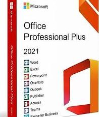Office 2021 Lisans